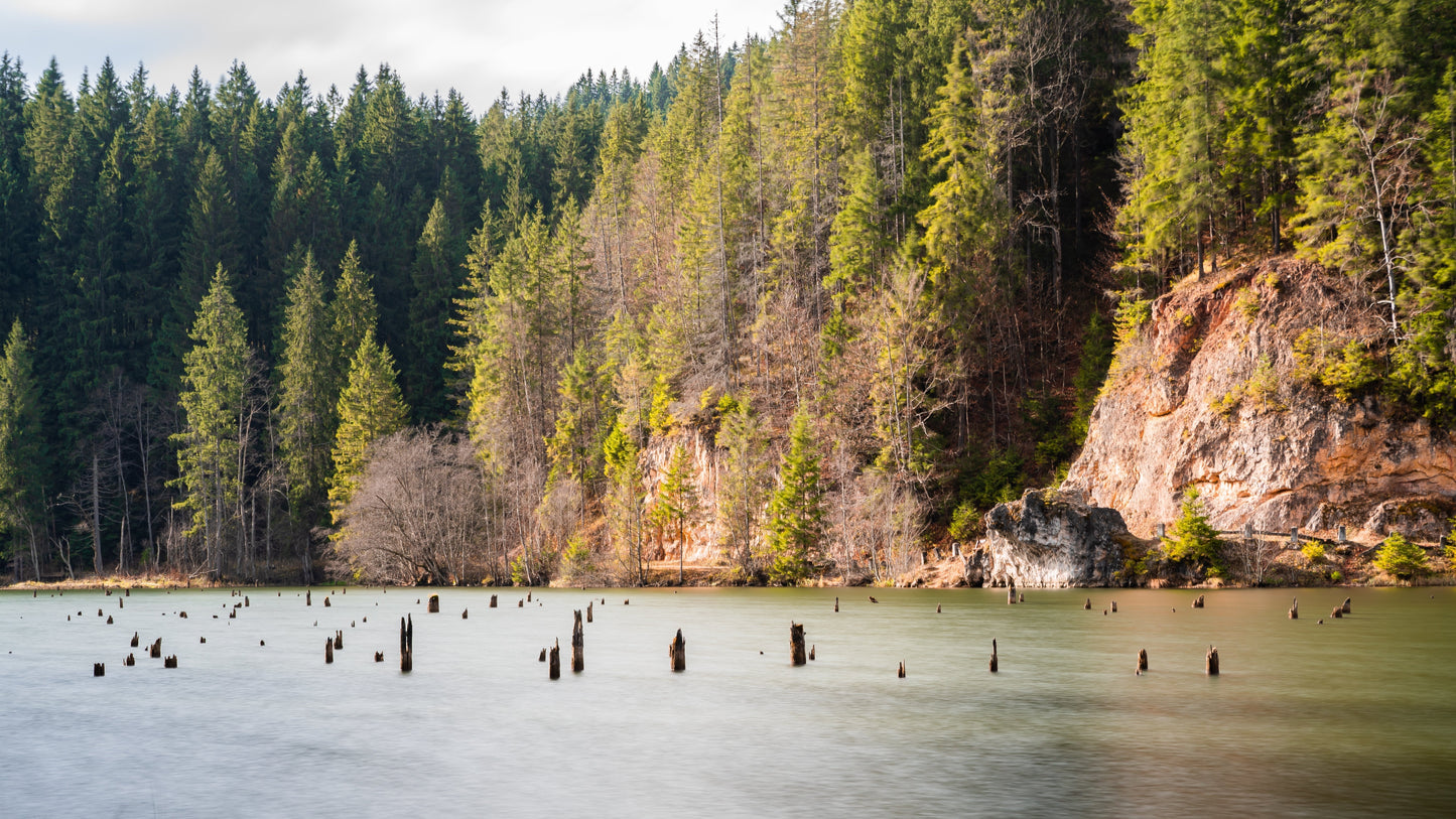 people on a lake by the forest