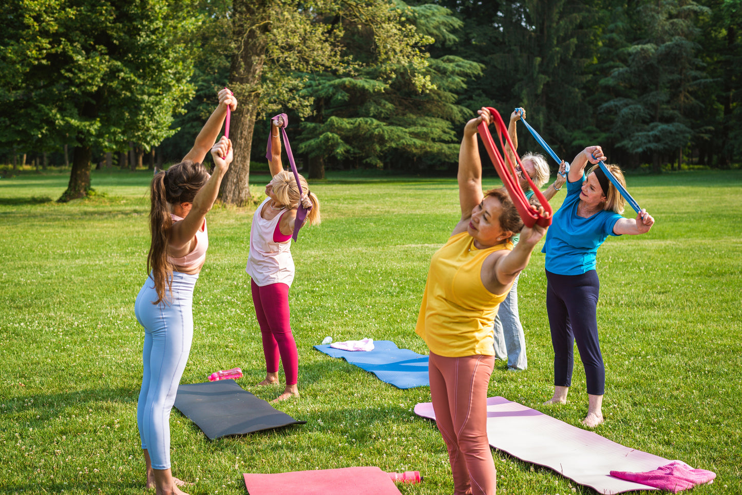 group stretching in the park