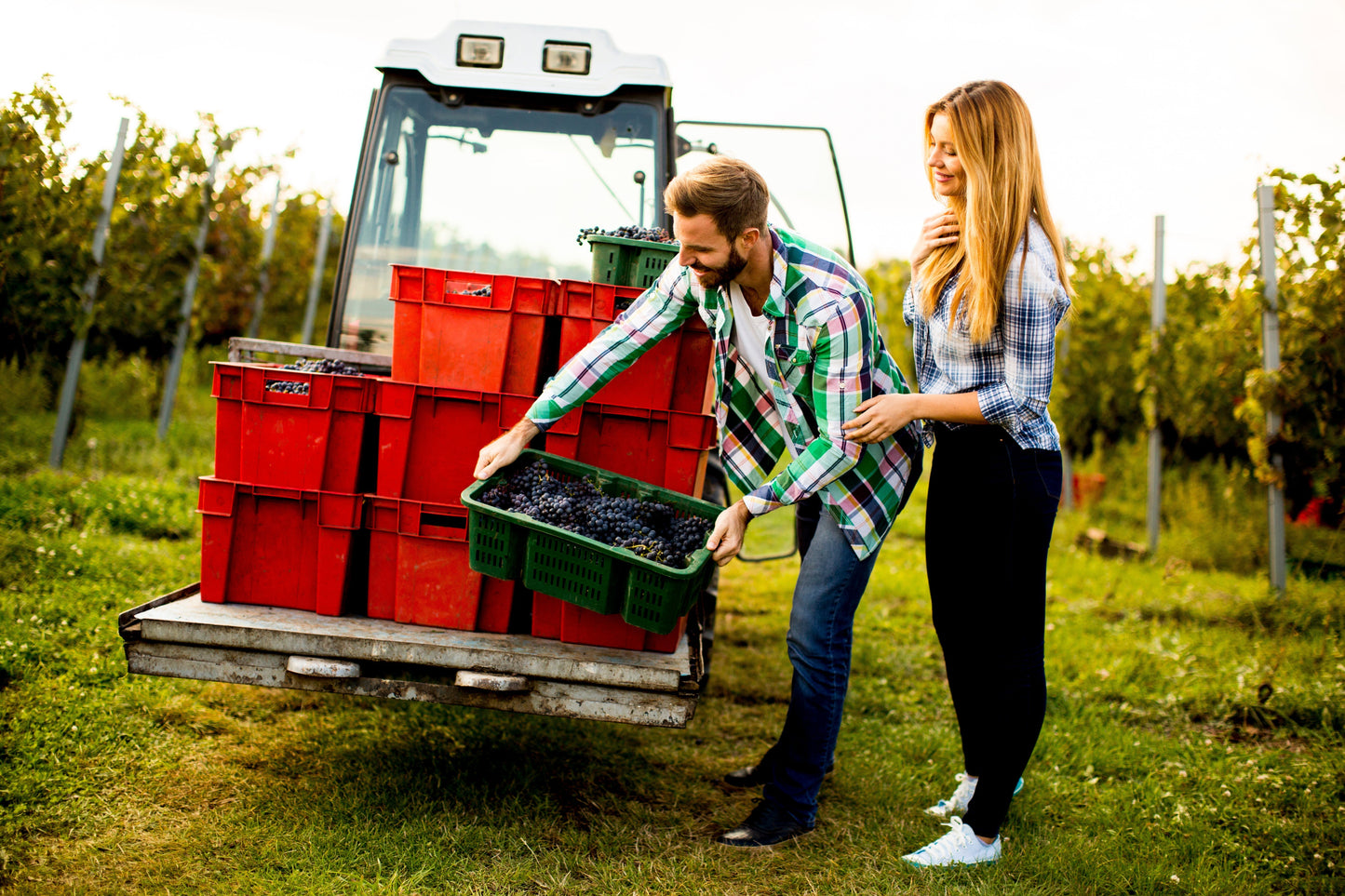 couple moving boxes on a farm